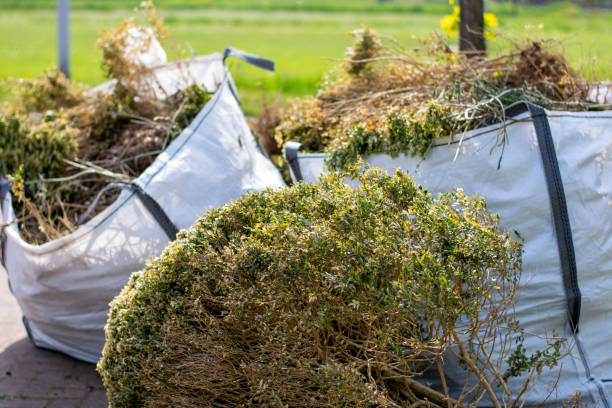 Best Attic Cleanout Services  in Portsmouth, VA